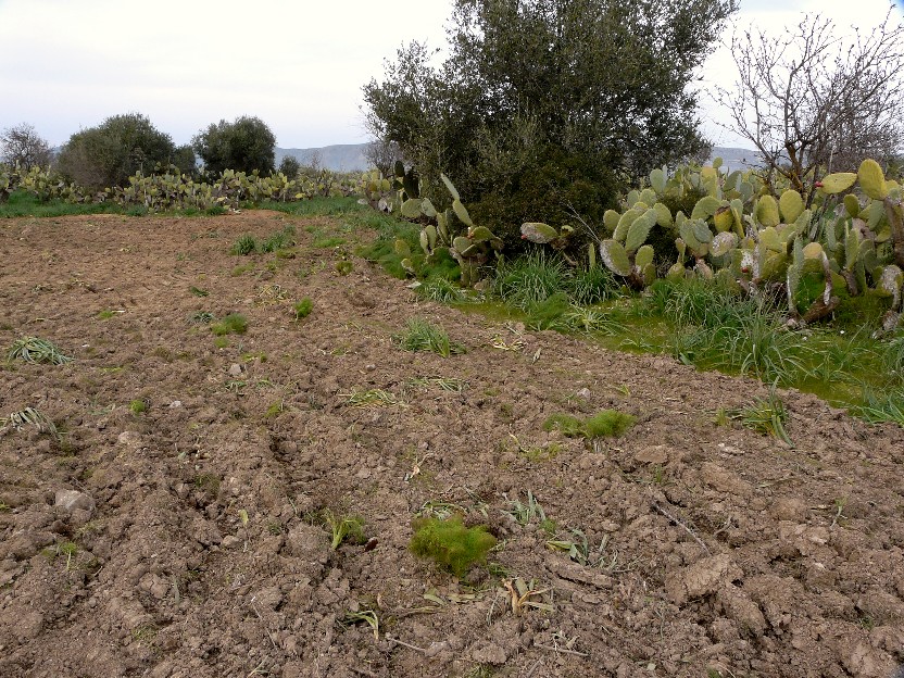 Un sito straordinario, completamente distrutto........